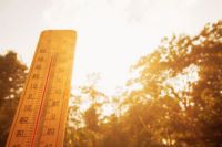 Chaleur accablante en Estrie : l’humidex grimpe jusqu’à 46
